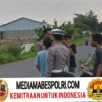 Polish_20250714_145935381