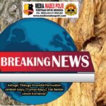 Polish_20250719_094723367