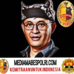 Polish_20250726_162312743