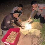 Screenshot_2025-07-26-23-56-42-92_40deb401b9ffe8e1df2f1cc5ba480b12