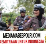 Polish_20250802_075728093