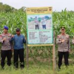 Screenshot_2025-08-03-12-36-57-42_6012fa4d4ddec268fc5c7112cbb265e7