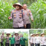 Screenshot_2025-08-13-12-58-09-73_99c04817c0de5652397fc8b56c3b3817