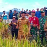 Bupati Enrekang Hadiri Panen Raya di Desa Buttu Batu, Serahkan Bantuan Mesin Pertanian. IMG-20250917-WA0086