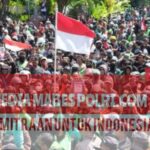 Polish_20250902_190202053