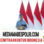 Polish_20251008_181526326