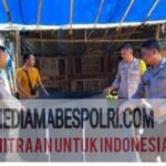 Polish_20251008_183958791