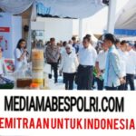 Polish_20251009_174944670