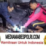 Polish_20251020_190751337