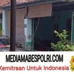 Polish_20251020_192658388