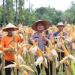 Screenshot_2025-10-09-18-03-07-95_40deb401b9ffe8e1df2f1cc5ba480b12