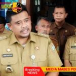 BackgroundEraser_20251128_105544199