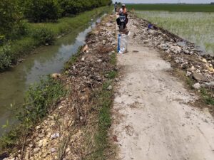 Proyek Siluman Irigasi Tanpa Papan Nama di Desa Tempel Tempuran Demak, Besi Bekas Diduga Diambil Pekerja atas Suruhan Pelaksana Pengawas Dianggap Tidak Kooperatif
