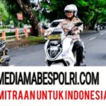 Polish_20251112_185854276