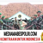 Polish_20251120_082326240