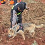 Screenshot_2025-11-15-17-29-09-60_6012fa4d4ddec268fc5c7112cbb265e7