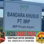 Screenshot_2025-11-26-15-22-55-691_com.canva.editor-edit