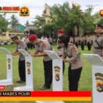 BackgroundEraser_20251229_103805379