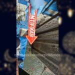 PhotoGrid_Site_1766996992312