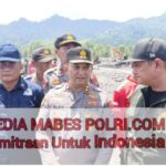 Polish_20251208_160307545