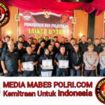 Polish_20251208_162559229