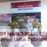 Polish_20251209_161241857