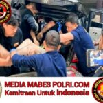 Pelarian Begal Pembacok Aiptu Kurniawan di Lumajang 'Kandas Diujung Peluru' Polish_20251215_110842174