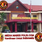 Polish_20251215_111926525