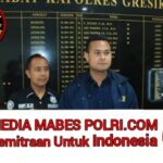 Polish_20251219_114811105