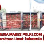 Polish_20251224_060646965