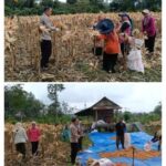 BackgroundEraser_20260106_223110217