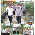 BackgroundEraser_20260107_125843040