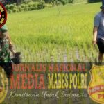 Polish_20260105_165139201