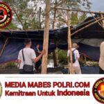 Polish_20260105_165726958