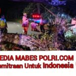 Polish_20260112_183548526