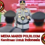 Polish_20260112_185346309