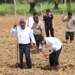 Kapolres Melawi Pimpin Penanaman Jagung Kembali di Lahan Polres Melawi Screenshot_2026-01-14-11-42-42-19_40deb401b9ffe8e1df2f1cc5ba480b12