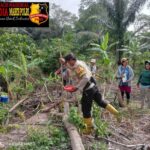 *Program Ketapang Penanaman Jagung Lore Barat Dilaksanakan di Desa Tomehipi* IMG_20260313_125157
