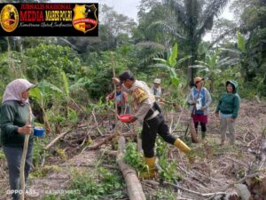 *Program Ketapang Penanaman Jagung Lore Barat Dilaksanakan di Desa Tomehipi*