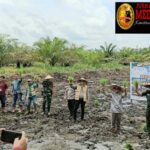 *Dandim 1307 Poso Pimpin Penanaman Padi Perdana Program Hanpangan Di Area CSR Pamona Timur* IMG_20260317_165447