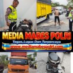 IMG_20260327_193748_copy_430x425