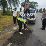 Peduli Keselamatan Pemudik, Kasat Lantas Polres Batola Turun Langsung Perbaiki Jalan Berlubang img-20260307-wa0149315931075299692082.jpg