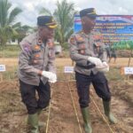 Dukung Swasembada Jagung, Polres Batola dan PT. Tiga Daun Tanam Jagung Serentak Kuartal I 2026 img-20260308-wa00138975867676026973165.jpg