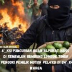Aksi pencurian buah alpukat jenis hass yang marak terjadi di Desa Sembalun Bumbung img-20260309-wa01345125689766441054296