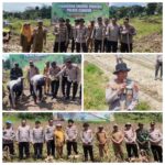 Polres Cianjur Dukung Program Ketahanan Pangan , Gelar Panen Raya dan Penanaman Jagung Hibrida IMG-20260407-WA0172