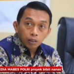 *Kejati Sulsel Dalami Peran Eks Pimpinan DPRD dalam Kasus Dugaan Korupsi Bibit Nanas* IMG-20260418-WA0156