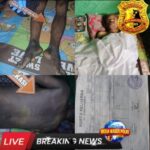 IMG_20260409_183552_copy_432x433_1