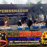 Polish_20260427_110134792