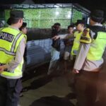 image_editor_output_image-1227739600-17760588822008711216919843647189