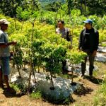 image_editor_output_image-568459405-17751144657784261560597185934140